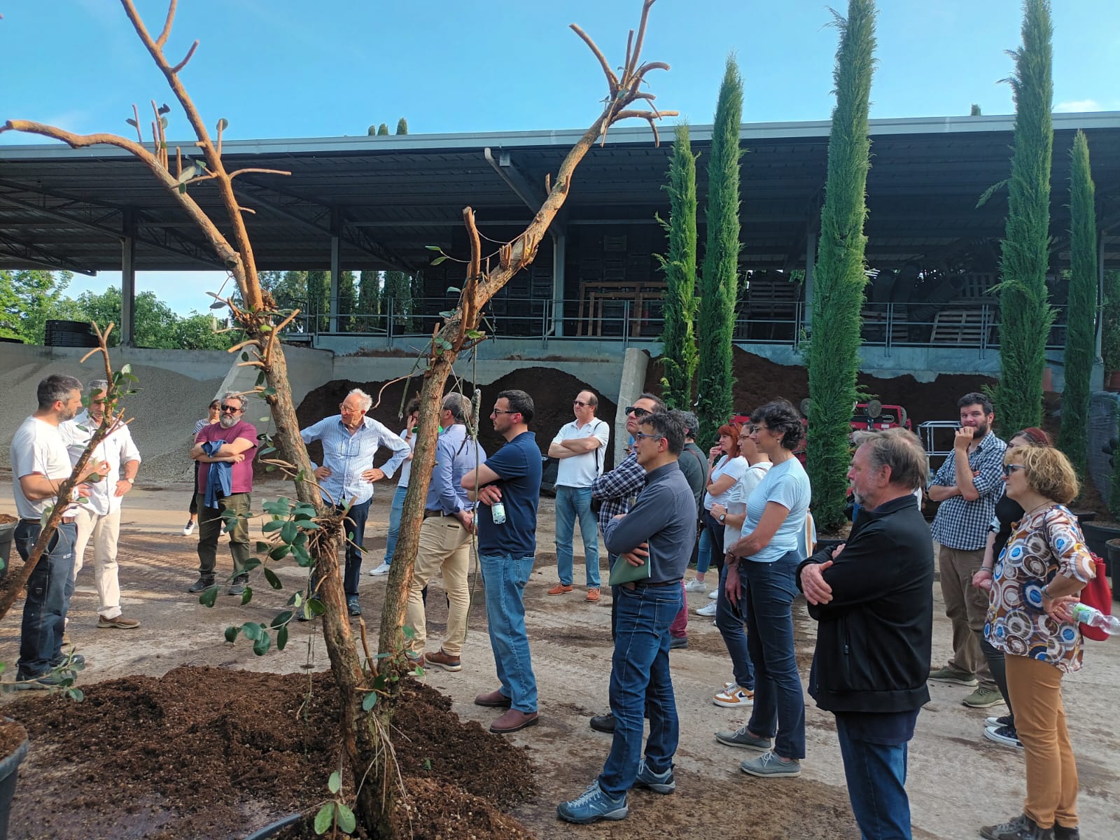 Visita tecnica Vivai Margheriti 6